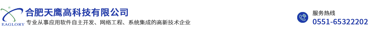 合肥天鹰高科技有限公司