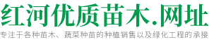 开远市增辉工程服务有限公司-一站式苗木工程服务商
