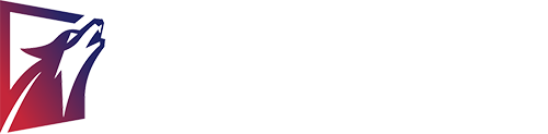 华狼团建策划_深圳拓展培训公司_户外拓展训练机构_专业企业拓展培训项目_华狼拓展集团