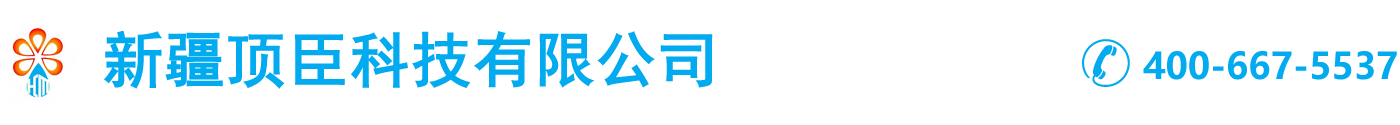 新疆顶臣科技有限公司