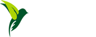 别墅景观设计_私家庭院景观设计_别墅景观施工_庭院绿化养护-深圳市嘉禾田环境艺术设计有限公司