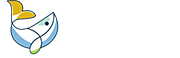 鲸猫文化-专注消费品牌领域的新流量服务商