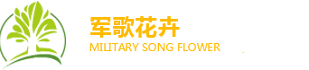 办公室绿植-绿植租摆-北京绿植租摆_北京军歌花卉有限公司