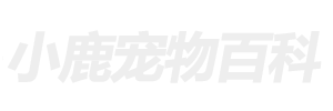 小鹿宠物百科网 - 分享小猫咪,狗狗等宠物饲养训练技巧知识