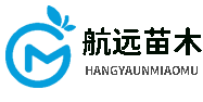 蓝莓苗-蓝莓苗品种-蓝莓苗价格-航远苗木