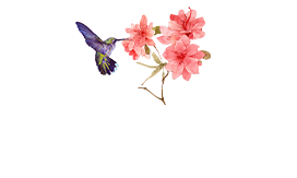 花镜用花卉苗木_园艺造型_花海景观-青州市珞涵花卉苗木有限公司