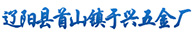辽阳县首山镇于兴五金厂/喷火枪/喷火枪厂家