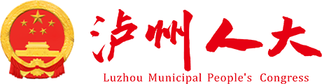 泸州人大