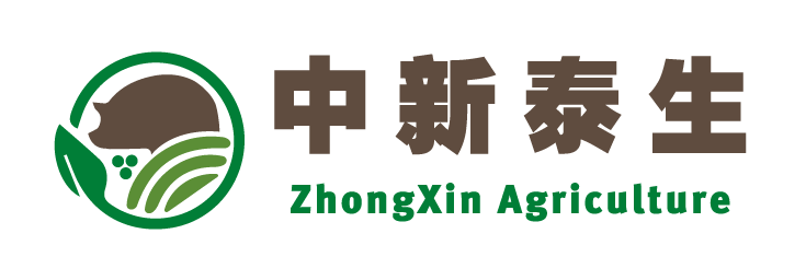 养猪场/种猪场_有机蔬菜农场 - 新加坡百年猪农·扎根崇明近30年
