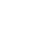 山东盛世芍花智慧农业有限公司_芍药花海,盆栽芍药,芍药切花
