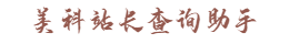 美科站长查询助手