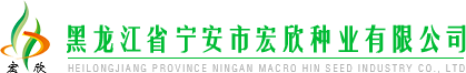 宁安市宏欣种业有限公司,黑龙江大豆种子,牡丹江种子繁育经销,黑农38,黑农58,牡豆11,黑农80,黑农82,黑农69,黑农66,牡丰7