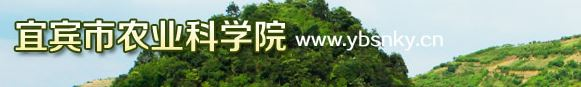 四川省食用菌协会