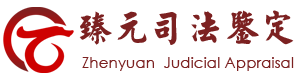 山东臻元司法鉴定服务有限公司 - 收藏品鉴定_艺术品鉴定_美术品鉴定