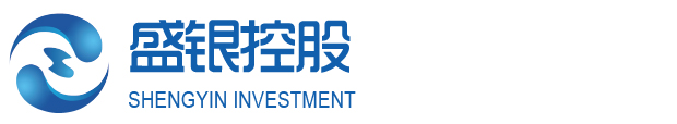 上海盛银投资控股有限公司