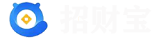 招财宝-手机POS机