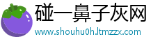 碰一鼻子灰网