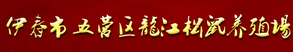松鼠养殖基地-雪地松鼠养殖-魔王松鼠养殖-伊春市五营区龙江松鼠养殖场