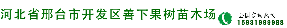 邢台经济开发区善下献军果树苗木场-果树苗新品种|果树苗批发