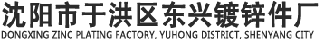 沈阳市于洪区东兴镀锌件厂