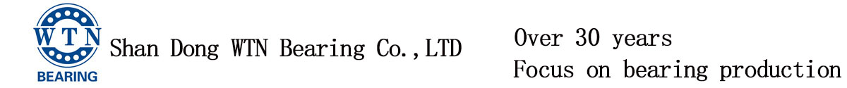 Shan Dong WTN Bearing Co., LTD