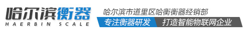 哈尔滨汽车衡_地磅厂家_无人值守称重软件_电子皮带秤-哈尔滨地衡衡器