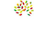 The Garden