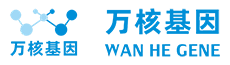 亲子鉴定_DNA亲子鉴定官方预约平台－万核基因 万核优选基因