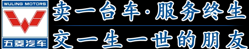 电动观光车-电动巡逻车-电动消巡车-垃圾清运车,生产制造厂家-五菱_