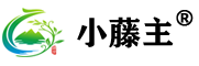 开云电竞·(中国)官方网站