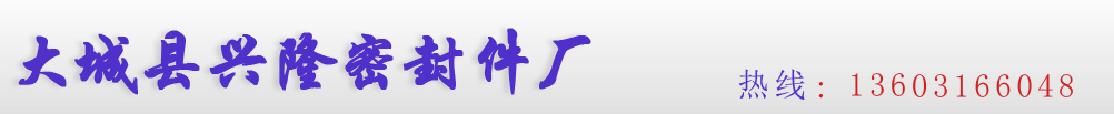 大城县兴隆密封件厂