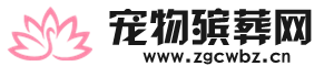 中国宠物殡葬网