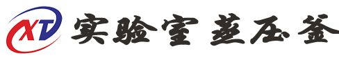 实验室蒸压釜-山东鑫泰鑫实验室蒸压釜厂家