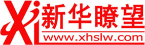 新华瞭望