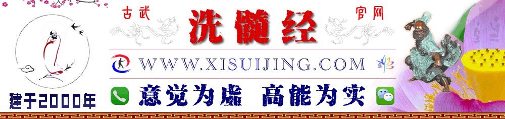 达摩洗髓经