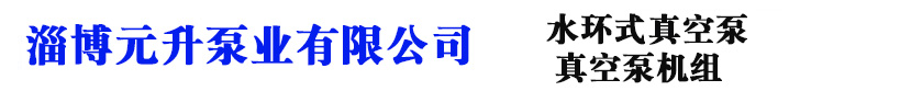 立式无油往复真空-水环式真空泵-罗茨水环真空机组-淄博元升泵业有限公司