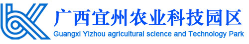 广西宜州农业科技园管理系统